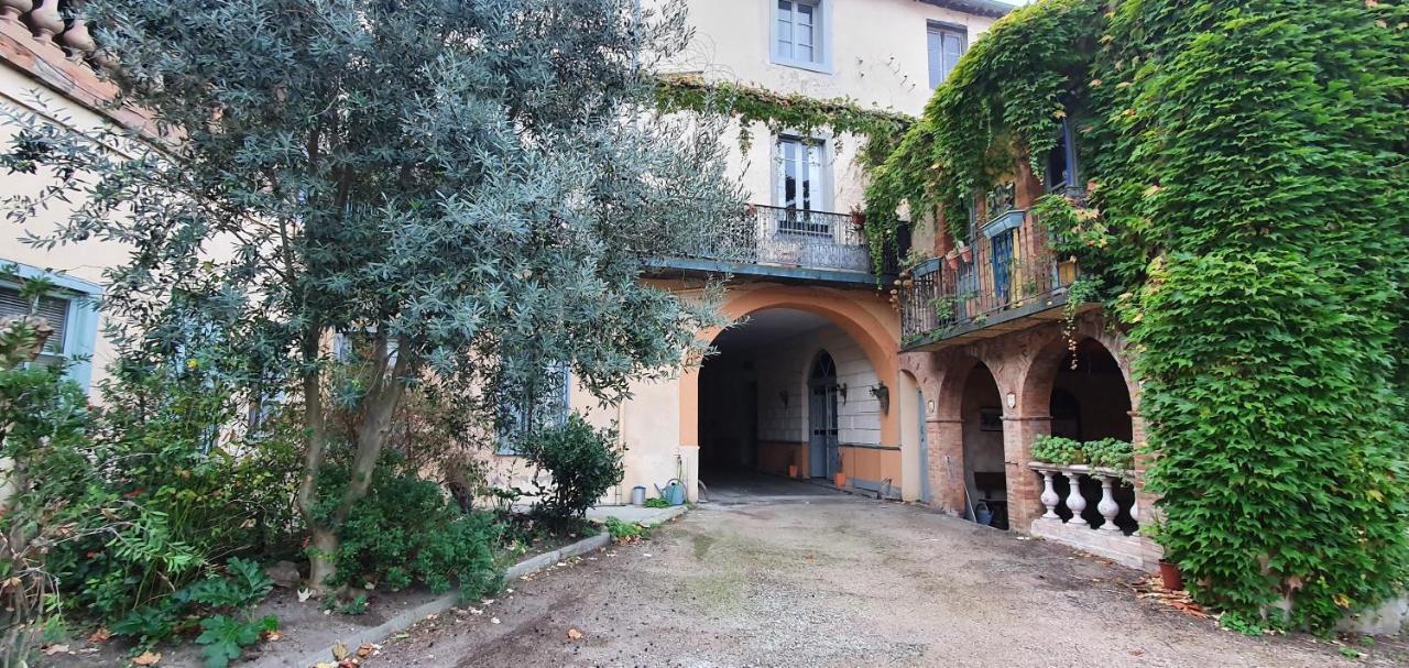 Appartamento Un petit coin de France : à côté de la Cité médiévale Carcassonne Esterno foto