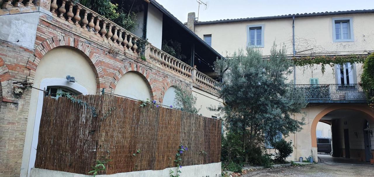 Appartamento Un petit coin de France : à côté de la Cité médiévale Carcassonne Esterno foto